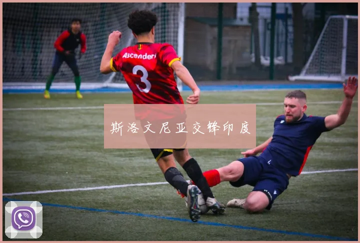 斯洛文尼亚交锋印度