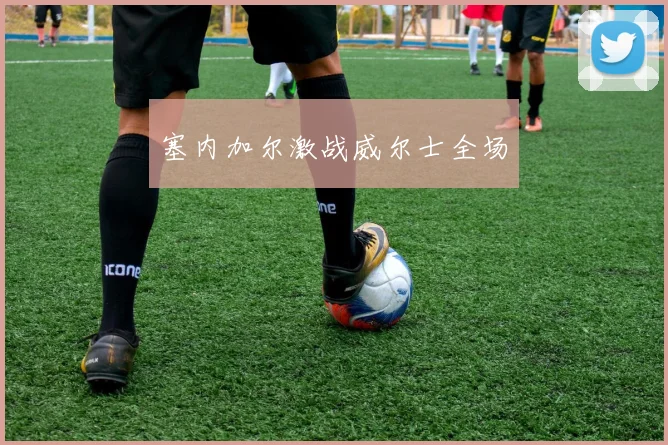 塞内加尔激战威尔士全场