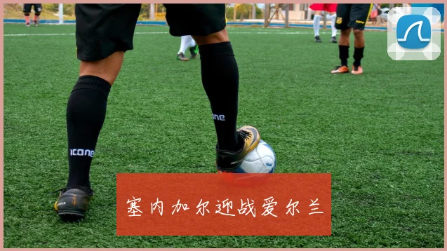 塞内加尔迎战爱尔兰
