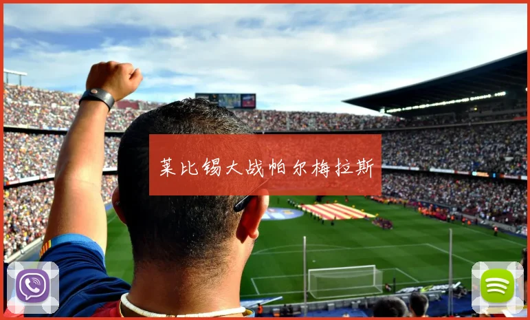 莱比锡大战帕尔梅拉斯