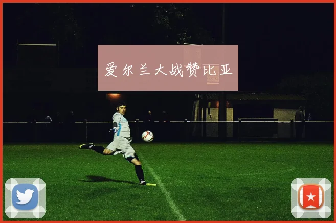 爱尔兰大战赞比亚