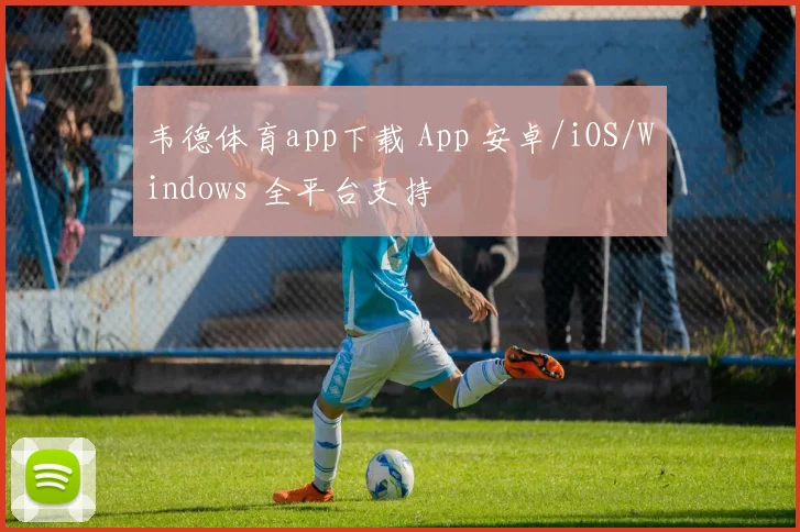 绍切克2026世界杯球迷关注度