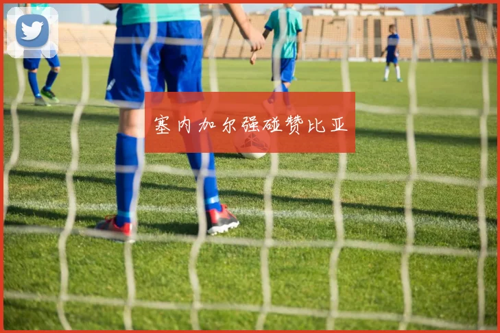 塞内加尔强碰赞比亚