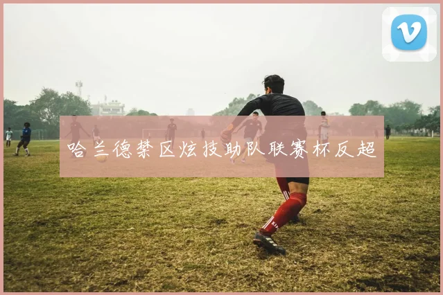 哈兰德禁区炫技助队联赛杯反超
