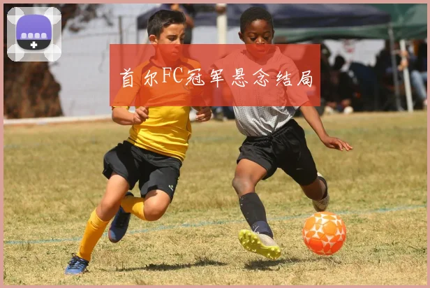 首尔FC冠军悬念结局