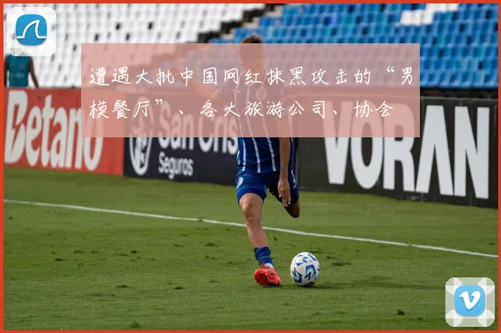 遭遇大批中国网红抹黑攻击的“男模餐厅”、各大旅游公司、协会