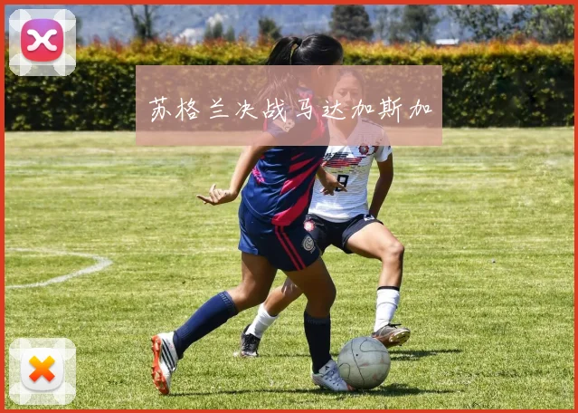 苏格兰决战马达加斯加