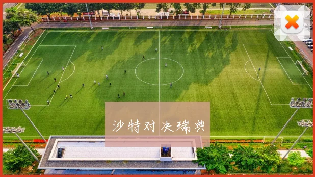 沙特对决瑞典