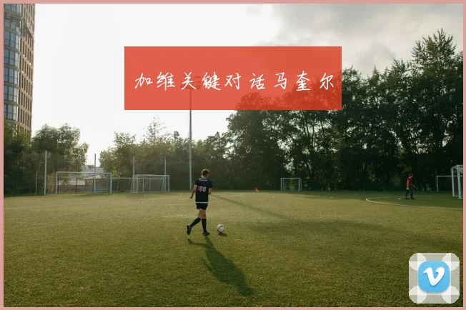 加维关键对话马奎尔
