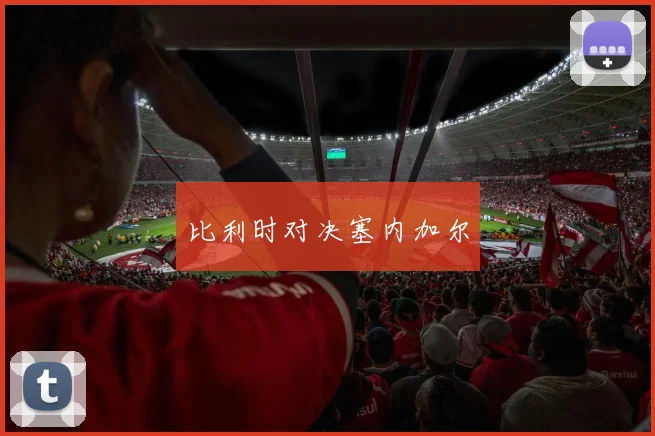 比利时对决塞内加尔