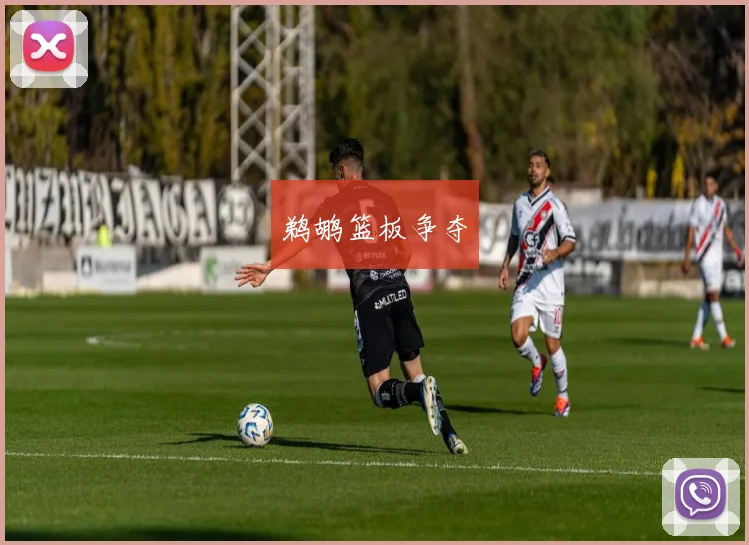 鹈鹕篮板争夺