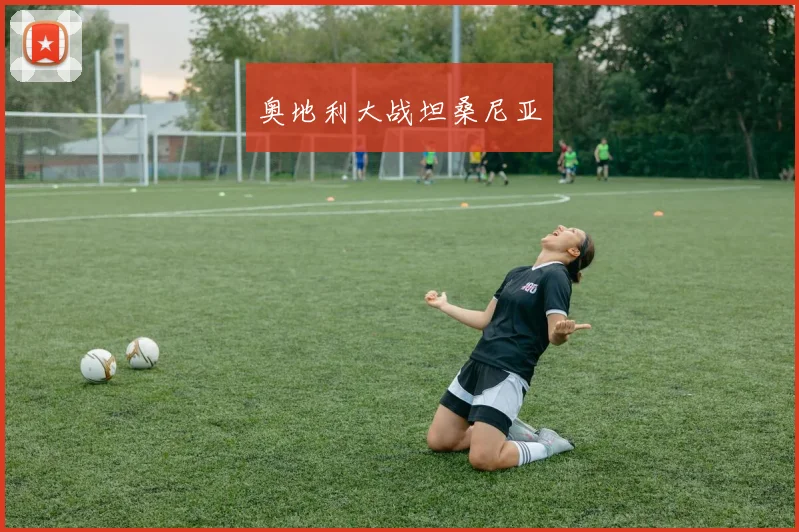 奥地利大战坦桑尼亚
