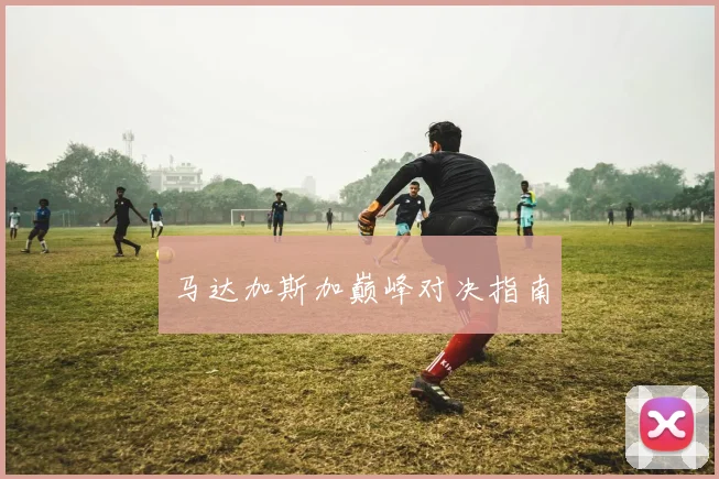 马达加斯加巅峰对决指南