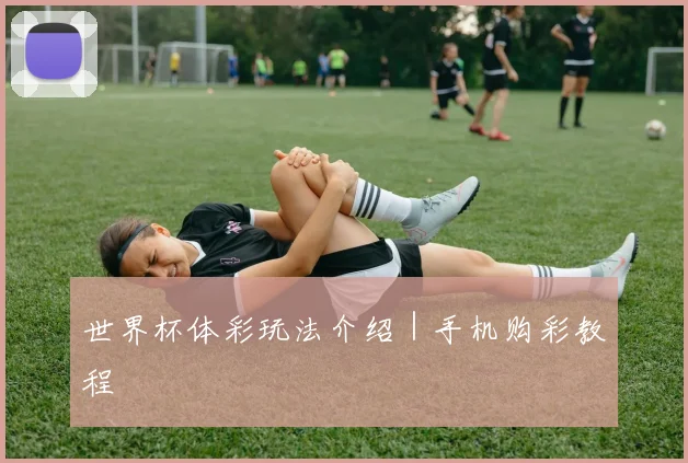 世界杯体彩玩法介绍｜手机购彩教程