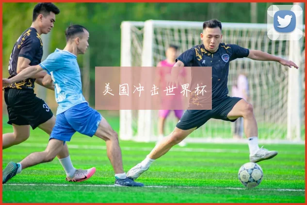 美国冲击世界杯