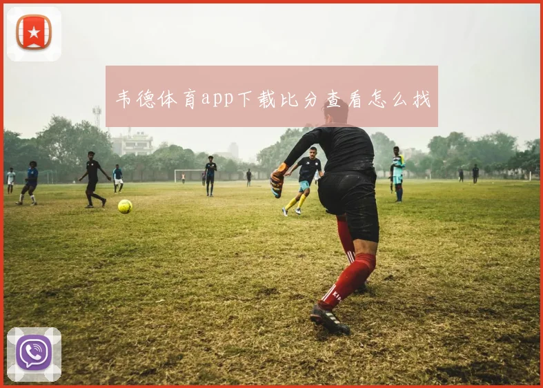 韦德体育app下载比分查看怎么找